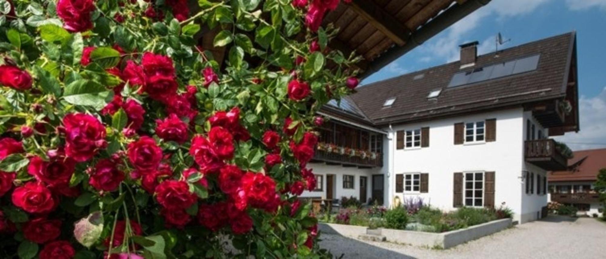 Ferienwohnung Lacherhof Seehausen am Staffelsee Exterior foto